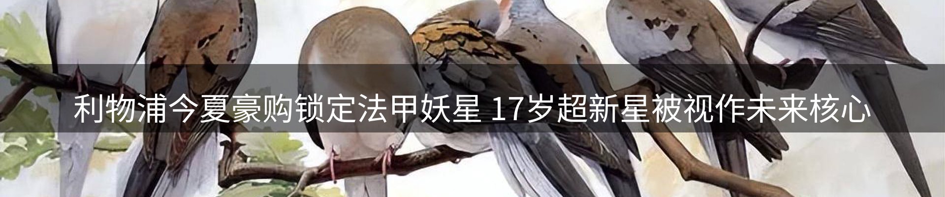资讯动态