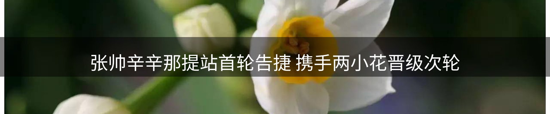 资讯动态
